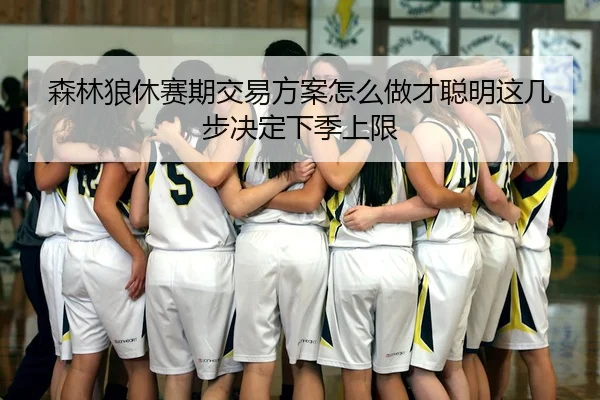森林狼休赛期交易方案怎么做才聪明这几步决定下季上限
